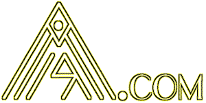 Amir.com - Healthcare Informatics Consulting Services